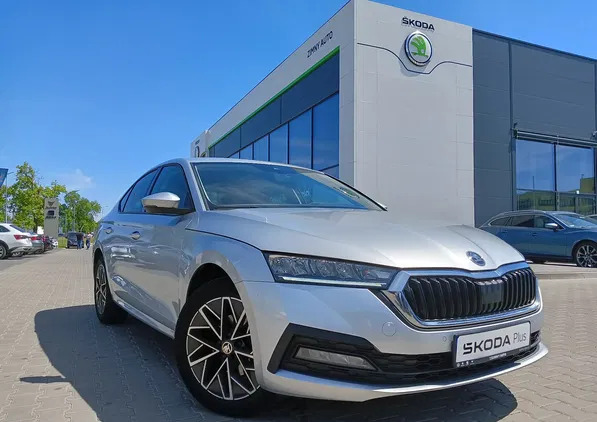 samochody osobowe Skoda Octavia cena 89900 przebieg: 115965, rok produkcji 2020 z Prószków